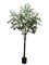 6-Foot Tall Artificial Olive Tree - 1050 Leaves, 78 Berries, Includes Pot - Lush Green Faux Olive Plant for Elegant Home or Office Décor, Floral Home by Artificial Flowers